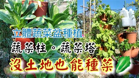 頂樓種菜|立體蔬菜盆種植／蔬菜塔／蔬菜柱／居家種菜／沒土地也能種菜／。